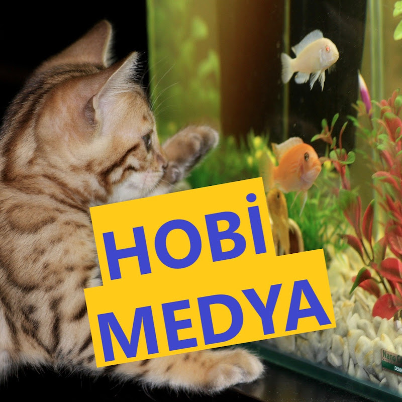 Hobi Medya Pet