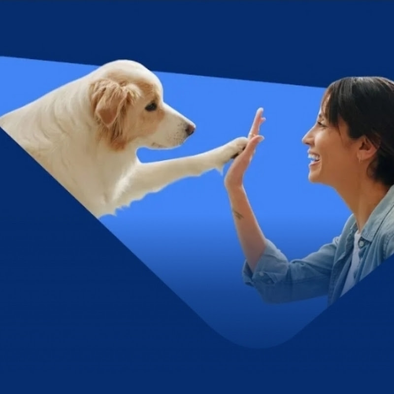 Channel Avatar