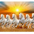 ptDgY0bcGHo-channel-avatar-World Animals and there stories 