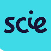 Social Care Institute for Excellence (SCIE)