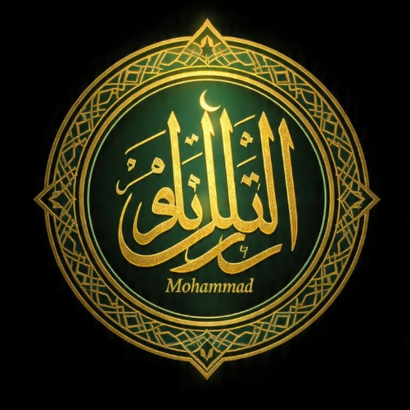 محمد سانيياز للفنون والرسم