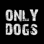 ONLY DOGS