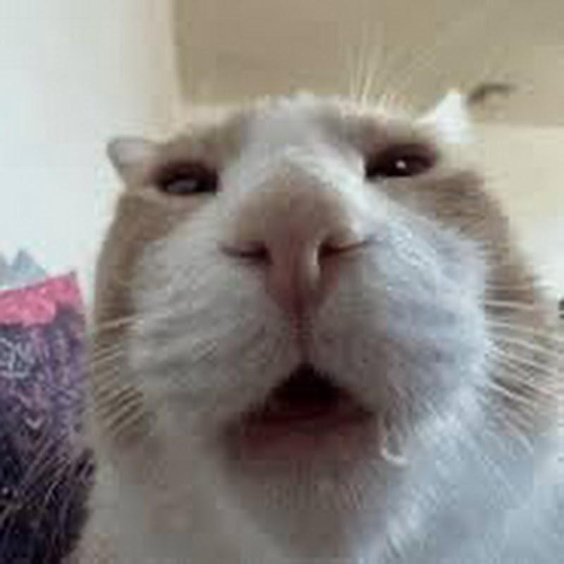 BeansBtw