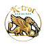 fLh6tVtj5EI-channel-avatar-트로트나라