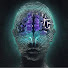 O8P82HdjSN4-channel-avatar-Sync Logic