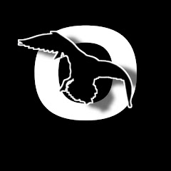 Owings Waterfowl