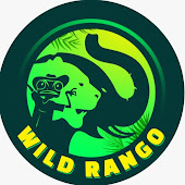 Wild Rango