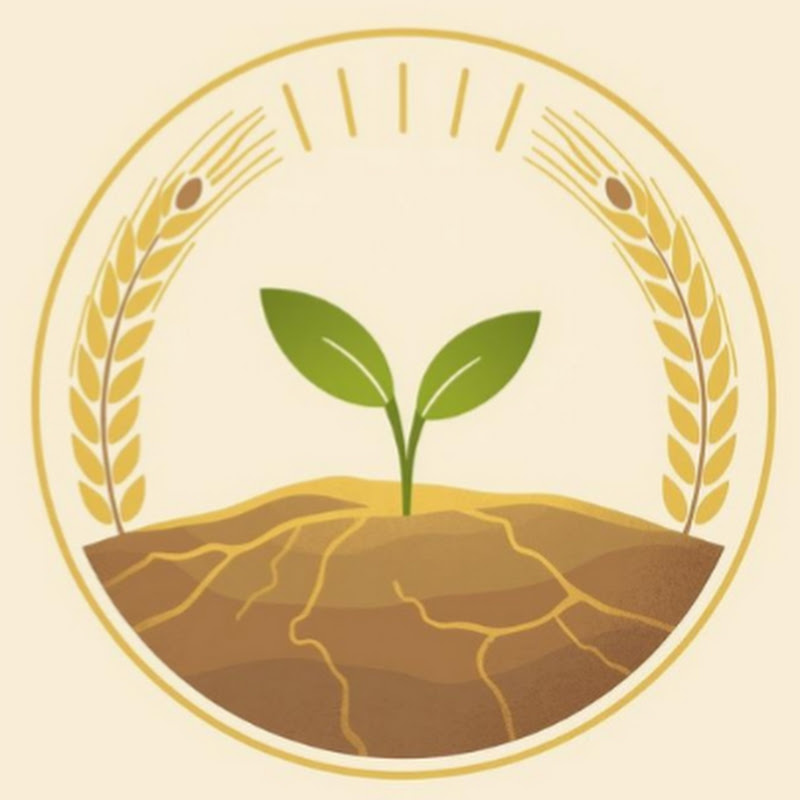 Seeds of Patience