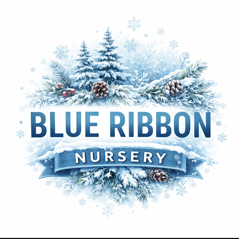 Blue Ribbon Nursery & Landscaping