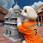 Vandana Sharma animal lover