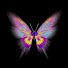 xcQhyv3yh3k-channel-avatar-Papillon Team