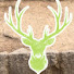 -5_vQBwbq8s-channel-avatar-DWS