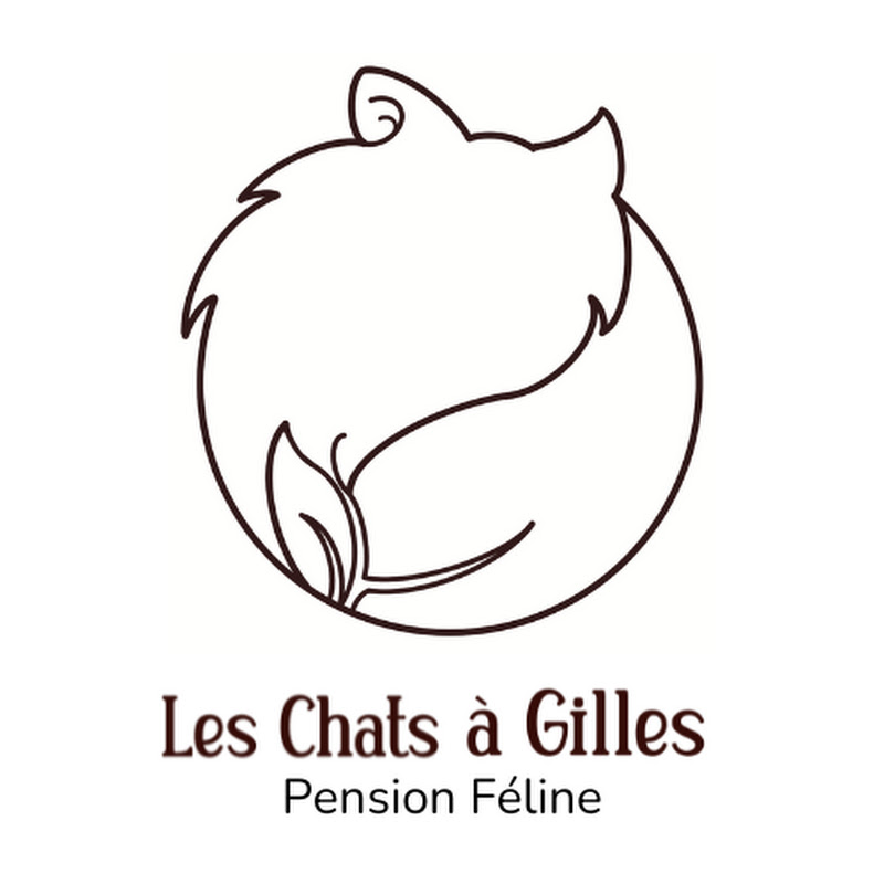 Les Chats à Gilles