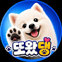 또왔댕
