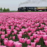 KdrhuQbCHHg-channel-avatar-Sachi Travel