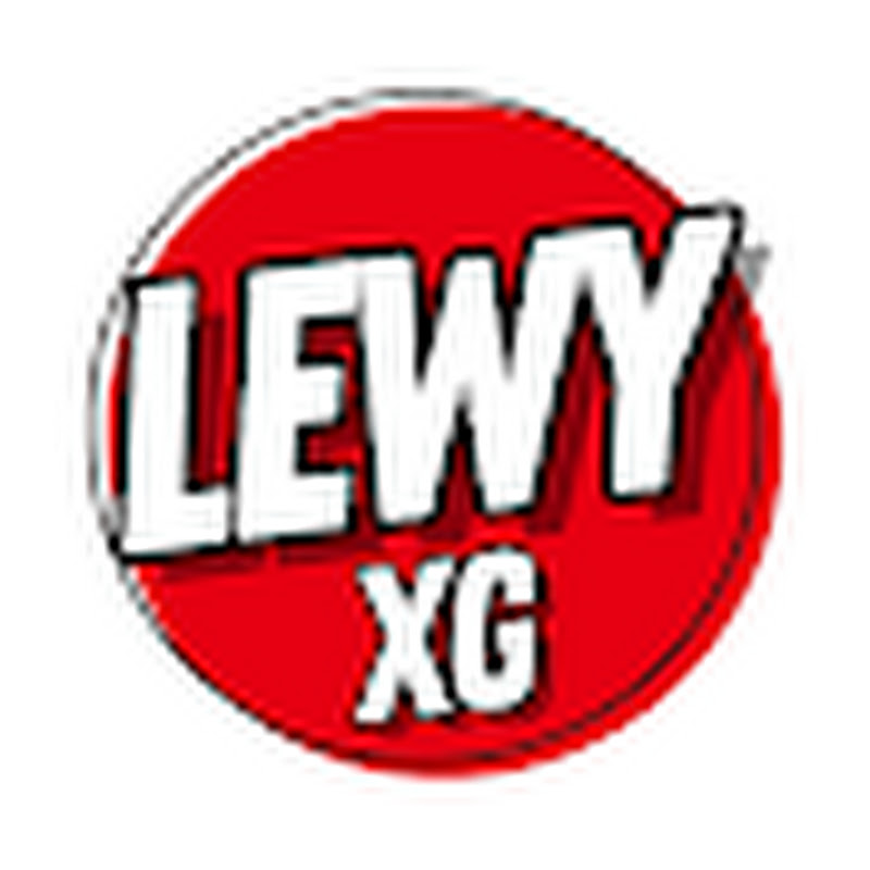 LewyXG