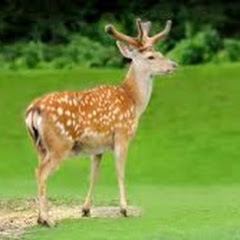 スカッと人生相談室