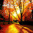 @Nazza77