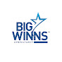 Big Wins Visa Consultancy logo