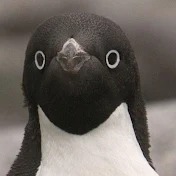 兎に角ショート