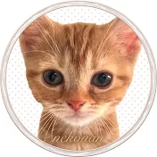 ねこナン