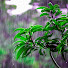 Z0Qls91Ydf4-channel-avatar-Raindrops Adventures