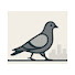 9OK5LOB1Hg0-channel-avatar-Urban Pigeon