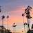 @california_vibe