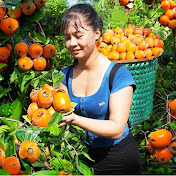 Tiểu Vân Daily Life