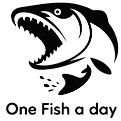 One Fish a Day