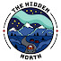 _8uwHzQBAO0-channel-avatar-The Hidden North