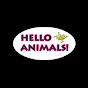 Hello Animals' Wild Pets! logo