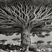 Unbelievable Photos