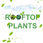 Rooftop Plants logo