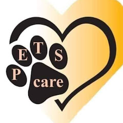Pets care