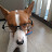 @workerbasenji2922