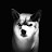 @LifeAfterTheDesk's avatar