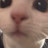 @juwon21
