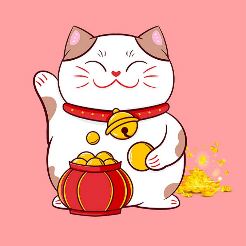 Cat Cute