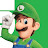 Super Luigi Gamer