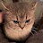 @스파르탄37
