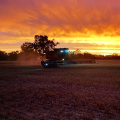 Narrain Grain