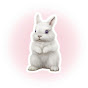 bunny ★