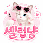 셀럽냥