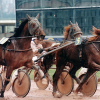 Frédéric Moulin (www.le-fer-a-cheval.fr) profile image