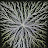 Electron Impressions