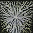 nKj48CWCDA0-channel-avatar-Electron Impressions