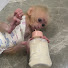 cCsL_MDn52Q-channel-avatar-Baby Monkey YT