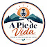 -0QH1ni1ap0-channel-avatar-A Pie de Vida