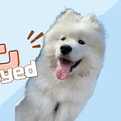 サモエドグラン